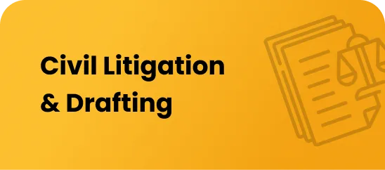 Civil Litigation & Drafting