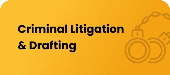 Criminal Litigation & Drafting