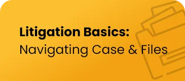 Litigation Basics: Navigating Cases and Files
